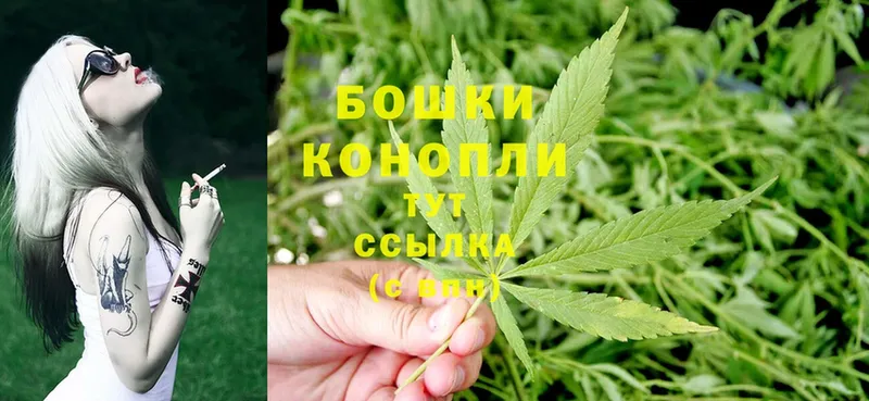 дарнет шоп  Дмитровск  мориарти какой сайт  Марихуана SATIVA & INDICA 